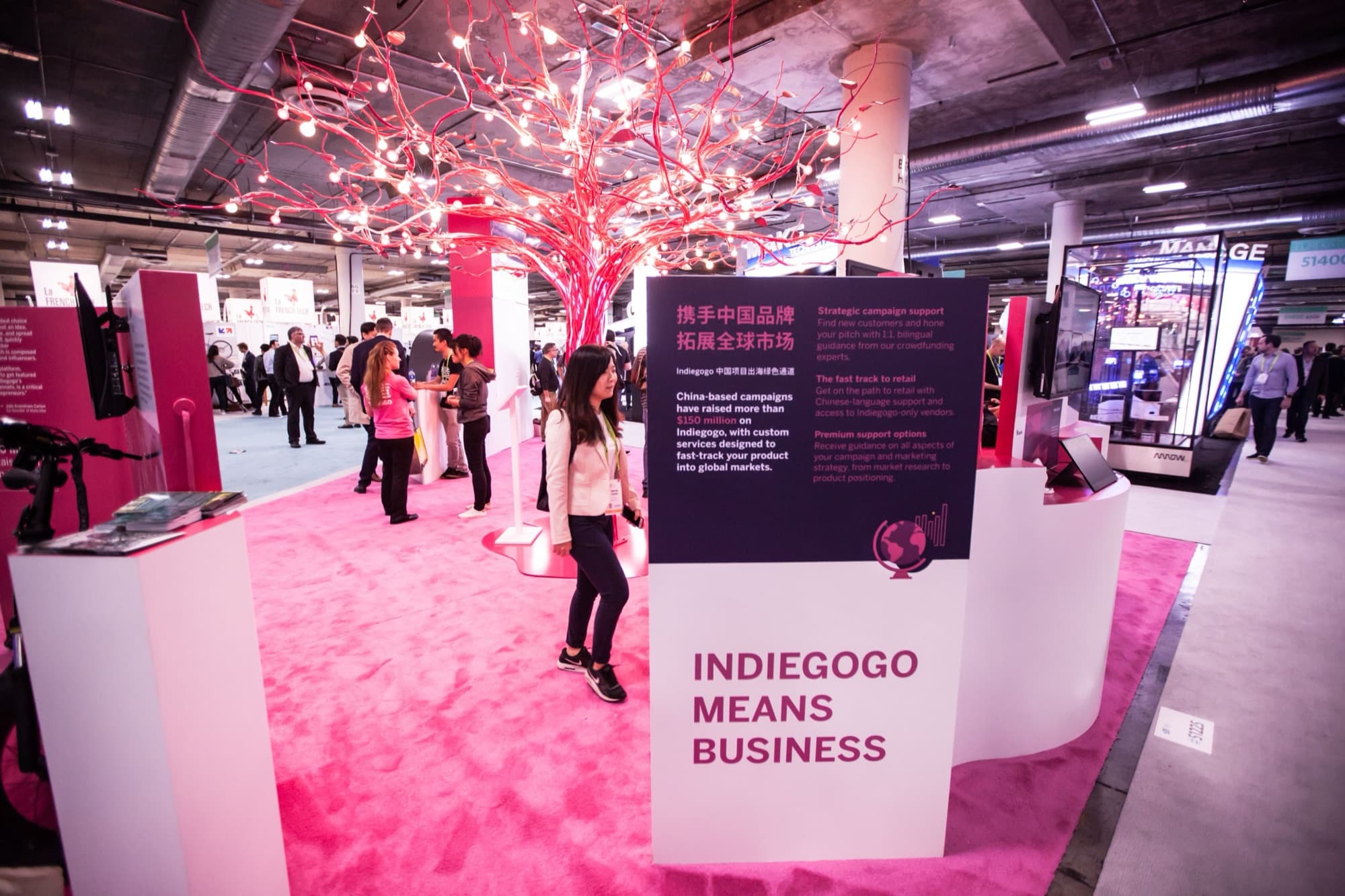 Indiegogo CES Booth — image 3