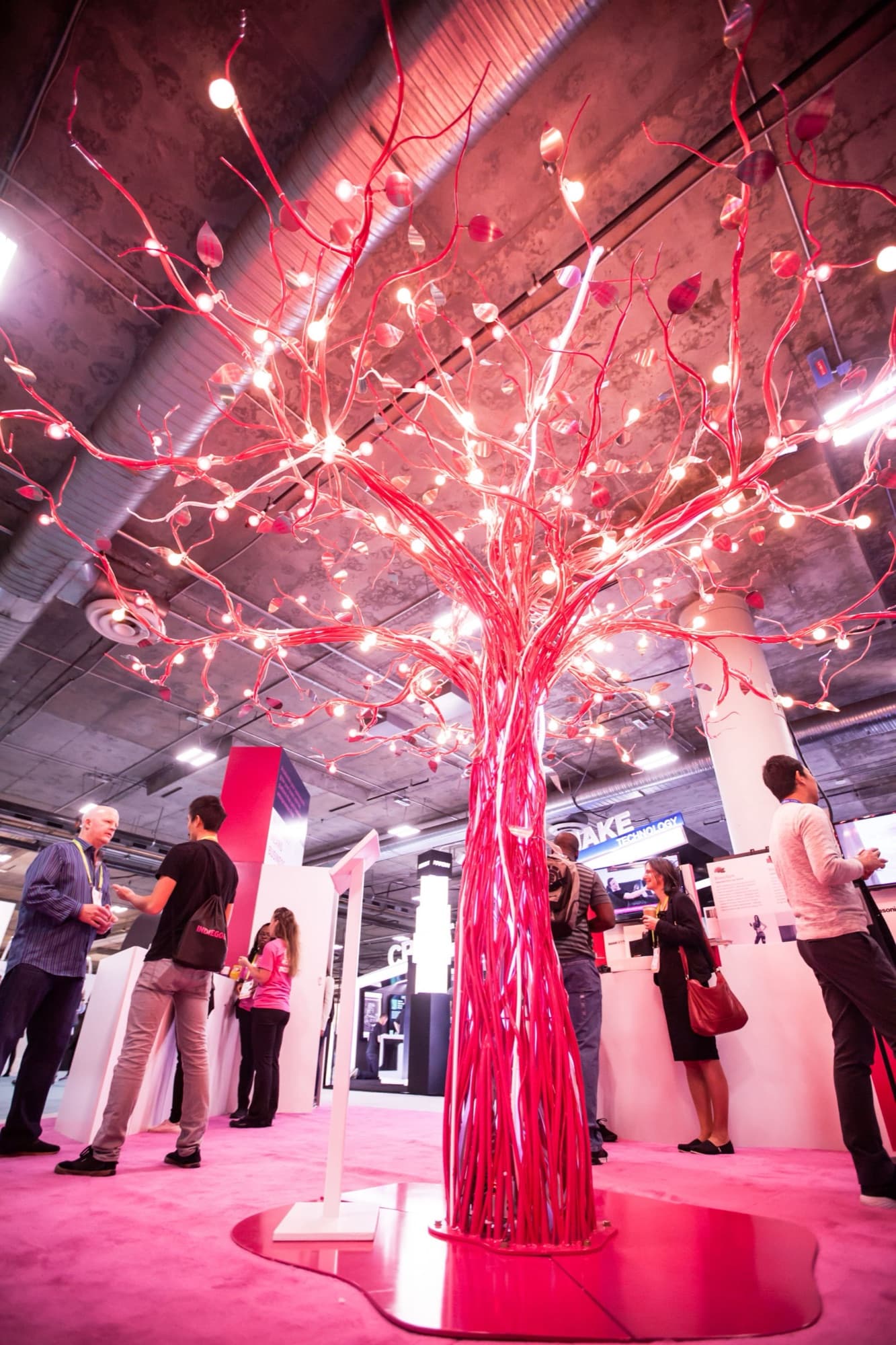 Indiegogo CES Booth — image 8